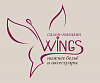 Логотип Wings